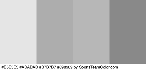 #E5E5E5 #ADADAD #B7B7B7 #898989 Colors