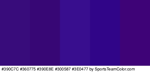 #390C7C #360775 #390E8E #300587 #3E0477 Colors