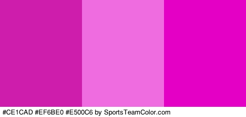 #CE1CAD #EF6BE0 #E500C6 Colors