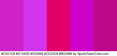 #CE21C8 #D134ED #E20069 #CC02C8 #BC0989 Colors