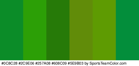 #0C8C28 #2C9E06 #257A08 #608C09 #5E9B03 #028E3A Colors