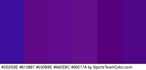 #3E0E9E #610887 #600B8E #660E8C #56017A #4F0687 Colors