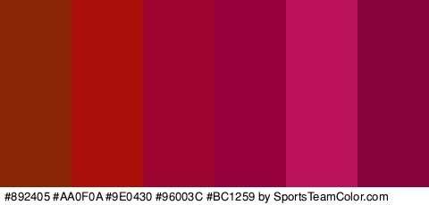 #892405 #AA0F0A #9E0430 #96003C #BC1259 #87013B Colors