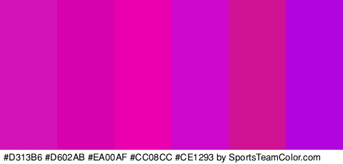 #D313B6 #D602AB #EA00AF #CC08CC #CE1293 #B204DD Colors