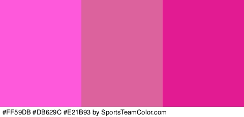 #FF59DB #DB629C #E21B93 Colors