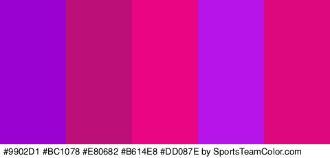 #9902D1 #BC1078 #E80682 #B614E8 #DD087E Colors