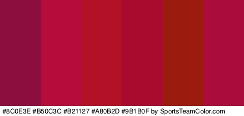 #8C0E3E #B50C3C #B21127 #A80B2D #9B1B0F #AA0D3C Colors