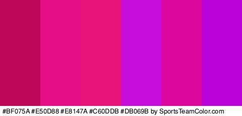 #BF075A #E50D88 #E8147A #C60DDB #DB069B #BA02DB Colors