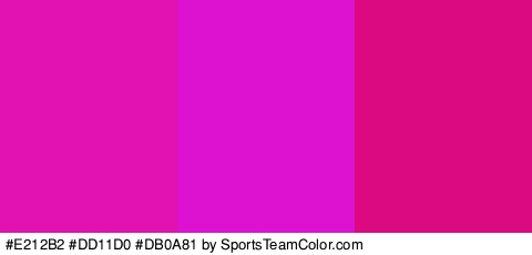 #E212B2 #DD11D0 #DB0A81 Colors