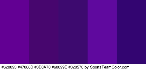 #620093 #47066D #3D0A70 #60099E #320570 Colors