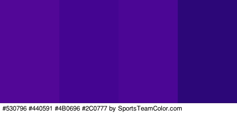 #530796 #440591 #4B0696 #2C0777 Colors