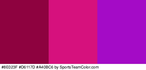 #8E023F #D6117D #A40BC6 Colors