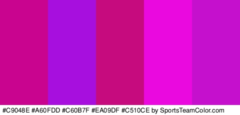 #C9048E #A60FDD #C60B7F #EA09DF #C510CE Colors