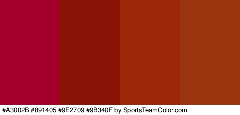 #A3002B #891405 #9E2709 #9B340F Colors