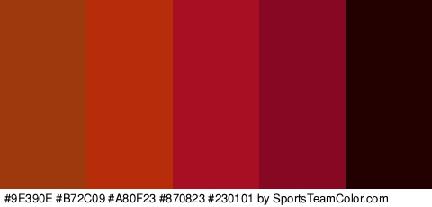 #9E390E #B72C09 #A80F23 #870823 #230101 Colors