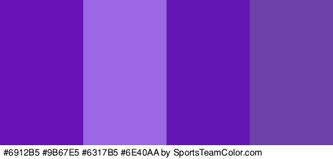 #6912B5 #9B67E5 #6317B5 #6E40AA Colors