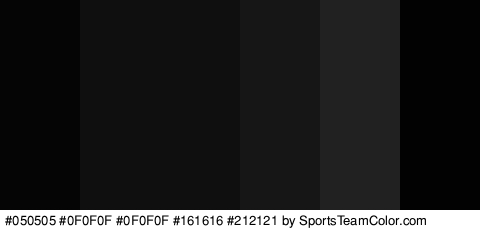 #050505 #0F0F0F #0F0F0F #161616 #212121 #020202 Colors