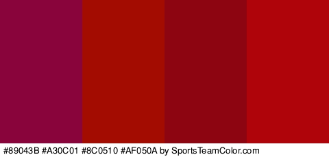 #89043B #A30C01 #8C0510 #AF050A Colors