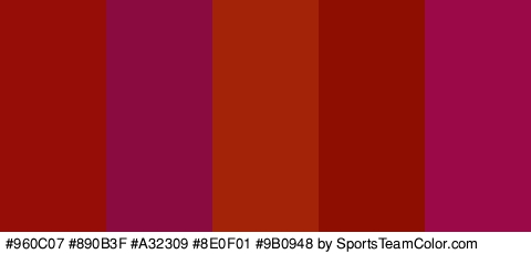 #960C07 #890B3F #A32309 #8E0F01 #9B0948 Colors