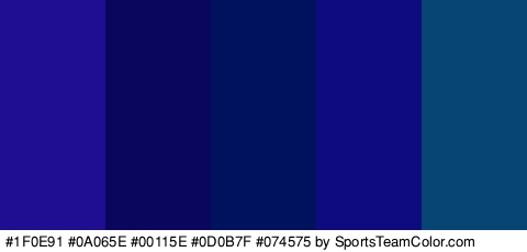 #1F0E91 #0A065E #00115E #0D0B7F #074575 Colors