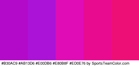 #B30AC9 #AB13D6 #E00DB6 #E80B8F #ED0E76 Colors