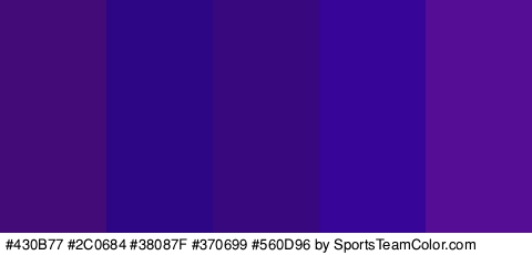 #430B77 #2C0684 #38087F #370699 #560D96 Colors