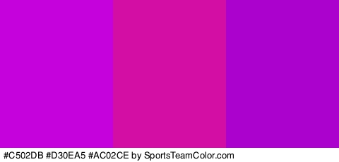 #C502DB #D30EA5 #AC02CE Colors