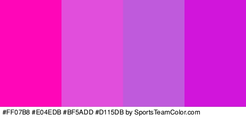 #FF07B8 #E04EDB #BF5ADD #D115DB Colors