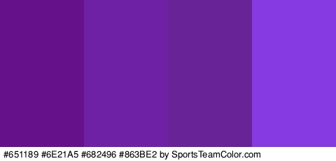 #651189 #6E21A5 #682496 #863BE2 Colors