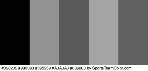 #020202 #939393 #595959 #A3A3A3 #606060 Colors