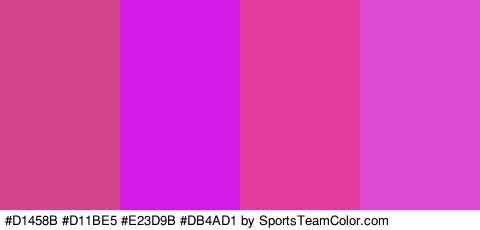 #D1458B #D11BE5 #E23D9B #DB4AD1 Colors