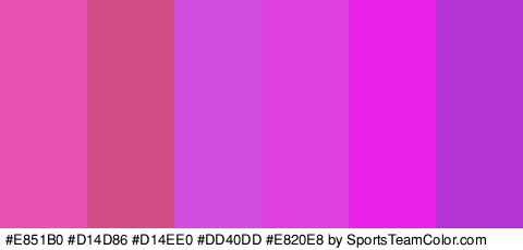 #E851B0 #D14D86 #D14EE0 #DD40DD #E820E8 #B134D3 Colors