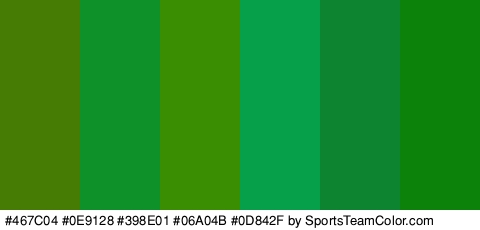 #467C04 #0E9128 #398E01 #06A04B #0D842F #0C820A Colors