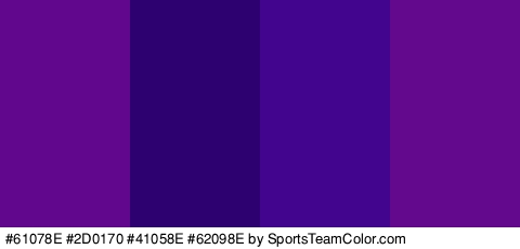 #61078E #2D0170 #41058E #62098E Colors