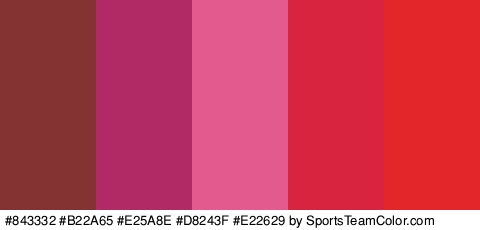 #843332 #B22A65 #E25A8E #D8243F #E22629 Colors