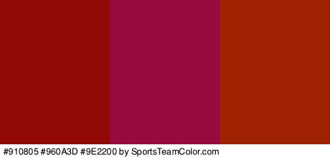 #910805 #960A3D #9E2200 Colors