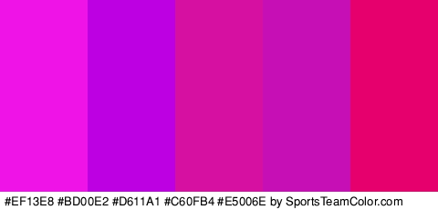 #EF13E8 #BD00E2 #D611A1 #C60FB4 #E5006E Colors