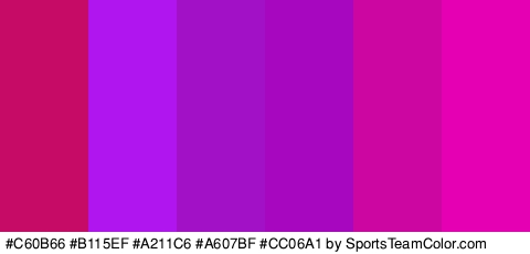 #C60B66 #B115EF #A211C6 #A607BF #CC06A1 #E500B3 Colors