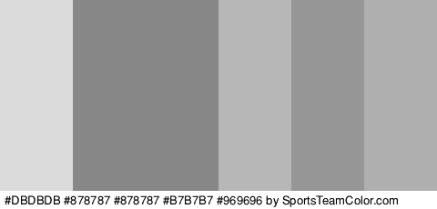 #DBDBDB #878787 #878787 #B7B7B7 #969696 #AFAFAF Colors