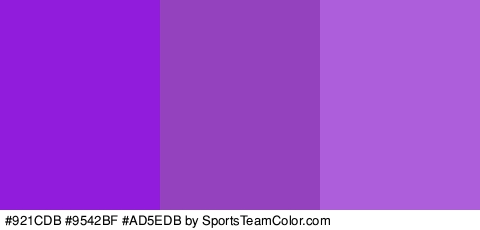 #921CDB #9542BF #AD5EDB Colors