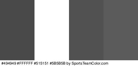 #494949 #FFFFFF #515151 #5B5B5B Colors