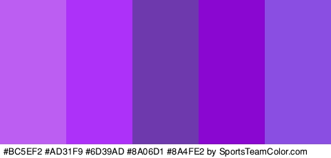 #BC5EF2 #AD31F9 #6D39AD #8A06D1 #8A4FE2 Colors