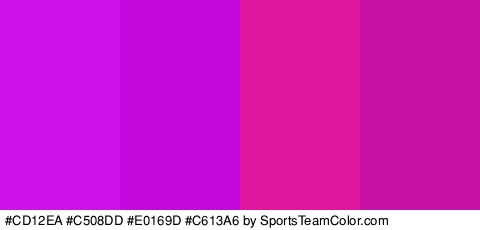 #CD12EA #C508DD #E0169D #C613A6 Colors