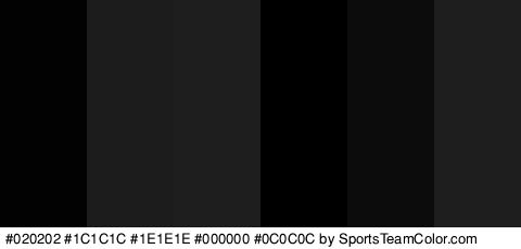 #020202 #1C1C1C #1E1E1E #000000 #0C0C0C #1E1E1E Colors