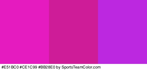 #E51BC0 #CE1C99 #BB28E0 Colors