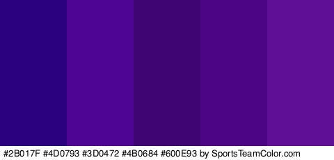 #2B017F #4D0793 #3D0472 #4B0684 #600E93 Colors