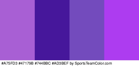 #A75FD3 #47179B #744BBC #AD3BEF Colors