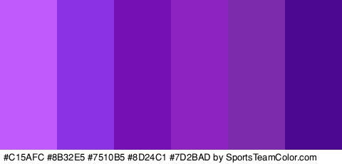 #C15AFC #8B32E5 #7510B5 #8D24C1 #7D2BAD #4D0891 Colors