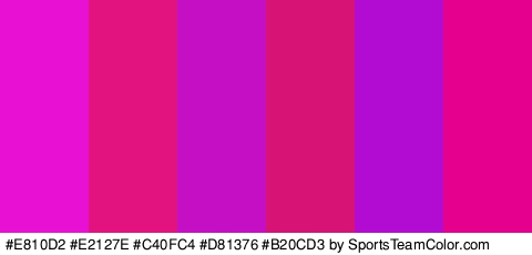 #E810D2 #E2127E #C40FC4 #D81376 #B20CD3 #E5008D Colors