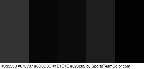 #333333 #070707 #0C0C0C #1E1E1E #020202 Colors